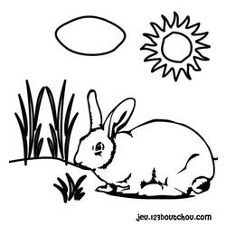 Disegno da colorare: Coniglio (Animali) #9584 - Pagine da Colorare Stampabili Gratuite