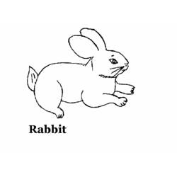 Disegno da colorare: Coniglio (Animali) #9587 - Pagine da Colorare Stampabili Gratuite