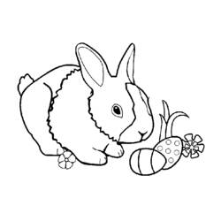 Disegno da colorare: Coniglio (Animali) #9591 - Pagine da Colorare Stampabili Gratuite