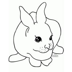 Disegno da colorare: Coniglio (Animali) #9603 - Pagine da Colorare Stampabili Gratuite
