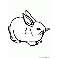 Disegno da colorare: Coniglio (Animali) #9610 - Pagine da Colorare Stampabili Gratuite