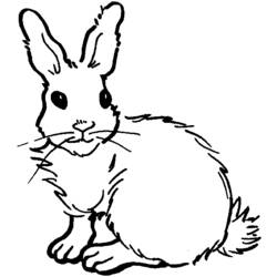 Disegno da colorare: Coniglio (Animali) #9625 - Pagine da Colorare Stampabili Gratuite