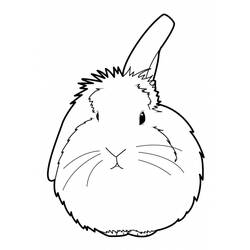 Disegno da colorare: Coniglio (Animali) #9641 - Pagine da Colorare Stampabili Gratuite