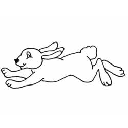 Disegno da colorare: Coniglio (Animali) #9677 - Pagine da Colorare Stampabili Gratuite