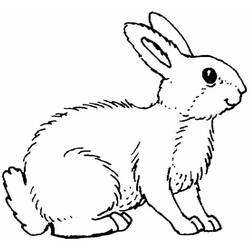 Disegno da colorare: Coniglio (Animali) #9689 - Pagine da Colorare Stampabili Gratuite