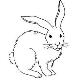 Disegno da colorare: Coniglio (Animali) #9694 - Pagine da Colorare Stampabili Gratuite