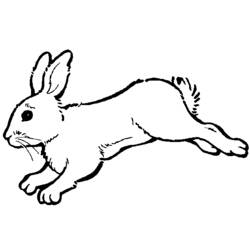 Disegno da colorare: Coniglio (Animali) #9702 - Pagine da Colorare Stampabili Gratuite