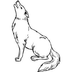 Disegne da colorare: Coyote - Pagine da Colorare Stampabili Gratuite