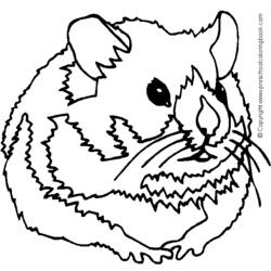 Disegno da colorare: Criceto (Animali) #8139 - Pagine da Colorare Stampabili Gratuite