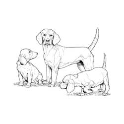Disegno da colorare: Cucciolo (Animali) #2953 - Pagine da Colorare Stampabili Gratuite