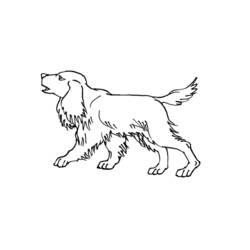 Disegno da colorare: Cucciolo (Animali) #2964 - Pagine da Colorare Stampabili Gratuite