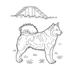 Disegno da colorare: Cucciolo (Animali) #3008 - Pagine da Colorare Stampabili Gratuite