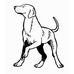 Disegno da colorare: Cucciolo (Animali) #3014 - Pagine da Colorare Stampabili Gratuite