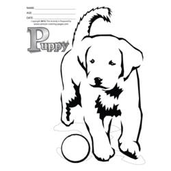 Disegno da colorare: Cucciolo (Animali) #3050 - Pagine da Colorare Stampabili Gratuite