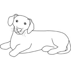 Disegno da colorare: Cucciolo (Animali) #3059 - Pagine da Colorare Stampabili Gratuite