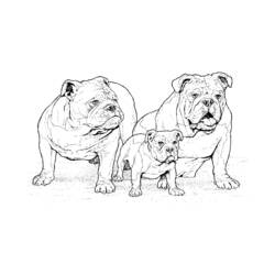 Disegno da colorare: Cucciolo (Animali) #3062 - Pagine da Colorare Stampabili Gratuite