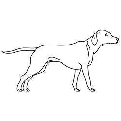 Disegno da colorare: Cucciolo (Animali) #3080 - Pagine da Colorare Stampabili Gratuite