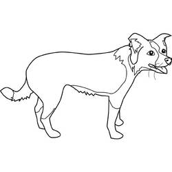 Disegno da colorare: Cucciolo (Animali) #3088 - Pagine da Colorare Stampabili Gratuite