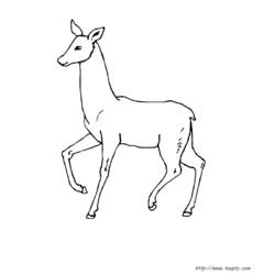 Disegno da colorare: Dai (Animali) #1102 - Pagine da Colorare Stampabili Gratuite