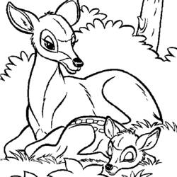 Disegno da colorare: Dai (Animali) #1107 - Pagine da Colorare Stampabili Gratuite