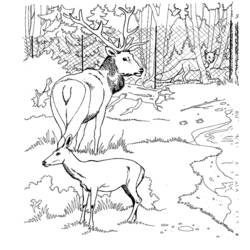 Disegno da colorare: Dai (Animali) #1137 - Pagine da Colorare Stampabili Gratuite
