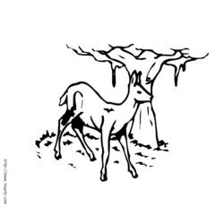 Disegno da colorare: Dai (Animali) #1140 - Pagine da Colorare Stampabili Gratuite