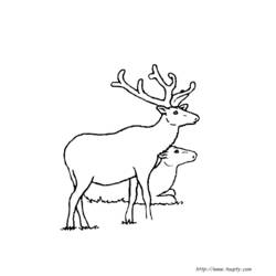 Disegno da colorare: Dai (Animali) #1157 - Pagine da Colorare Stampabili Gratuite