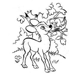 Disegno da colorare: Dai (Animali) #1172 - Pagine da Colorare Stampabili Gratuite
