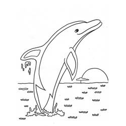 Disegno da colorare: Delfino (Animali) #5090 - Pagine da Colorare Stampabili Gratuite
