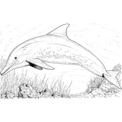 Disegno da colorare: Delfino (Animali) #5092 - Pagine da Colorare Stampabili Gratuite