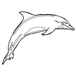 Disegno da colorare: Delfino (Animali) #5099 - Pagine da Colorare Stampabili Gratuite