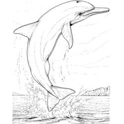 Disegno da colorare: Delfino (Animali) #5100 - Pagine da Colorare Stampabili Gratuite