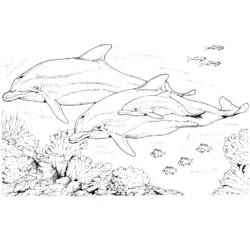 Disegno da colorare: Delfino (Animali) #5107 - Pagine da Colorare Stampabili Gratuite