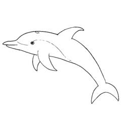 Disegno da colorare: Delfino (Animali) #5114 - Pagine da Colorare Stampabili Gratuite