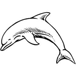 Disegne da colorare: Delfino - Pagine da Colorare Stampabili Gratuite