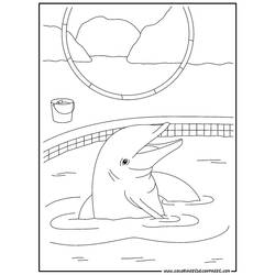 Disegno da colorare: Delfino (Animali) #5122 - Pagine da Colorare Stampabili Gratuite