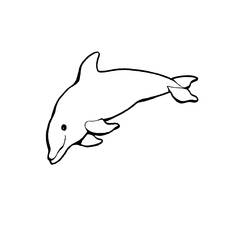 Disegno da colorare: Delfino (Animali) #5138 - Pagine da Colorare Stampabili Gratuite