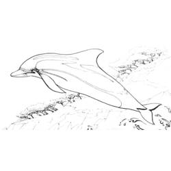 Disegno da colorare: Delfino (Animali) #5140 - Pagine da Colorare Stampabili Gratuite