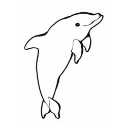 Disegno da colorare: Delfino (Animali) #5151 - Pagine da Colorare Stampabili Gratuite