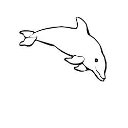 Disegno da colorare: Delfino (Animali) #5161 - Pagine da Colorare Stampabili Gratuite