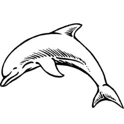 Disegno da colorare: Delfino (Animali) #5165 - Pagine da Colorare Stampabili Gratuite