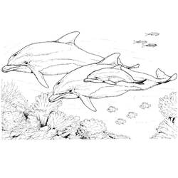 Disegno da colorare: Delfino (Animali) #5168 - Pagine da Colorare Stampabili Gratuite
