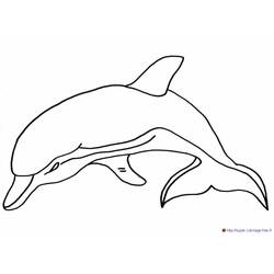 Disegno da colorare: Delfino (Animali) #5186 - Pagine da Colorare Stampabili Gratuite