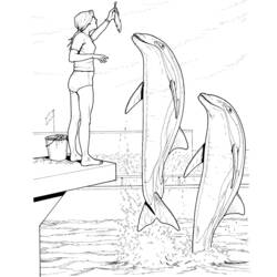 Disegno da colorare: Delfino (Animali) #5191 - Pagine da Colorare Stampabili Gratuite