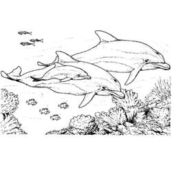 Disegno da colorare: Delfino (Animali) #5195 - Pagine da Colorare Stampabili Gratuite