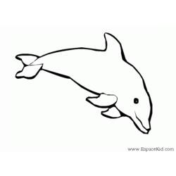 Disegno da colorare: Delfino (Animali) #5209 - Pagine da Colorare Stampabili Gratuite