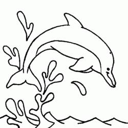 Disegno da colorare: Delfino (Animali) #5212 - Pagine da Colorare Stampabili Gratuite