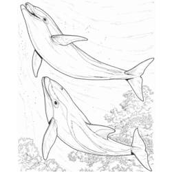 Disegno da colorare: Delfino (Animali) #5216 - Pagine da Colorare Stampabili Gratuite