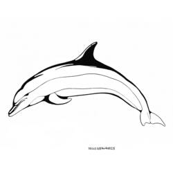 Disegno da colorare: Delfino (Animali) #5220 - Pagine da Colorare Stampabili Gratuite