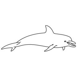 Disegno da colorare: Delfino (Animali) #5224 - Pagine da Colorare Stampabili Gratuite